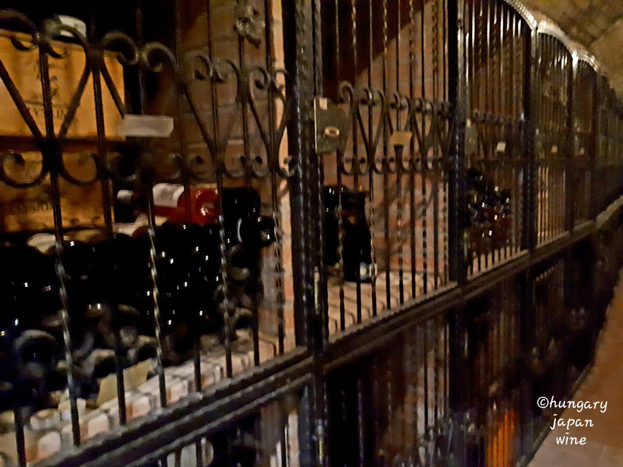 BOCK Photo by ©Papp Hideko FinoMagazin